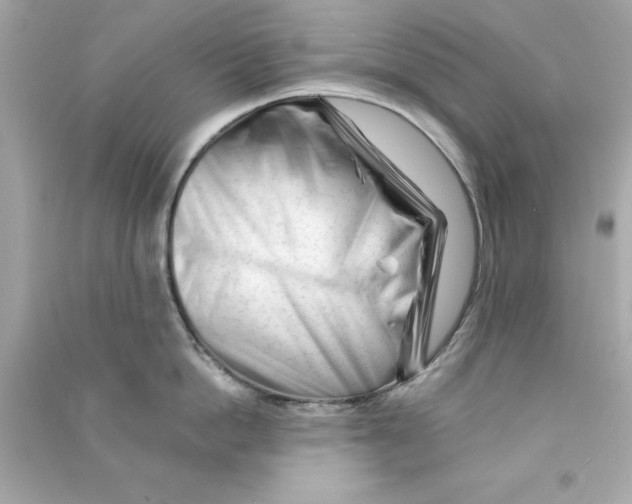 X0000090480862200708102155