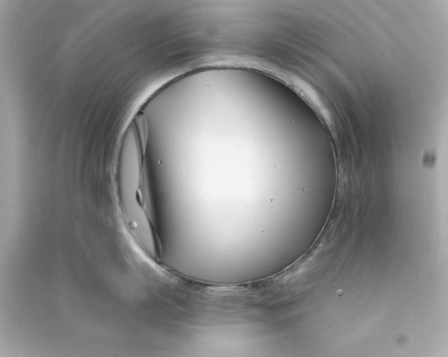 X0000090480863200708102155