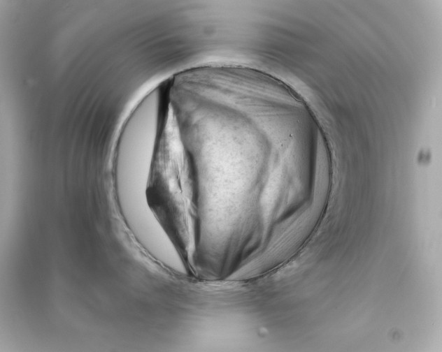 X0000090480864200708102155