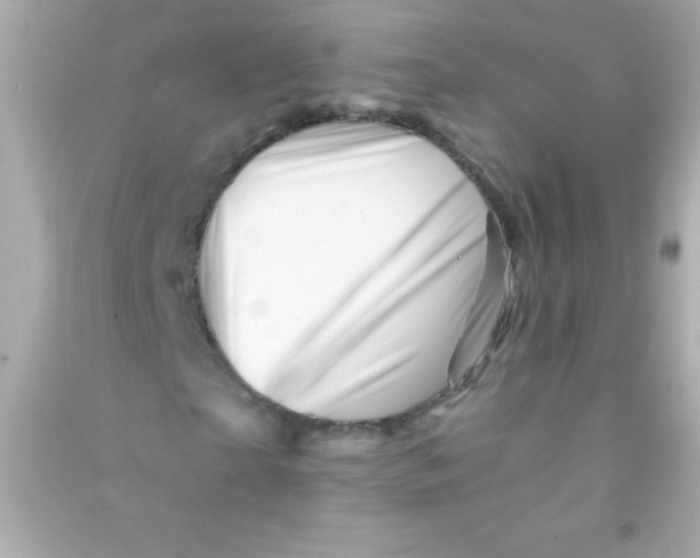X0000090480865200708102155