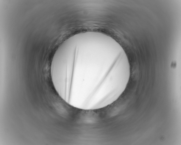 X0000090480866200708102155
