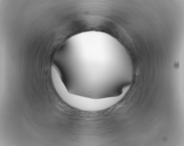 X0000090480868200708102154