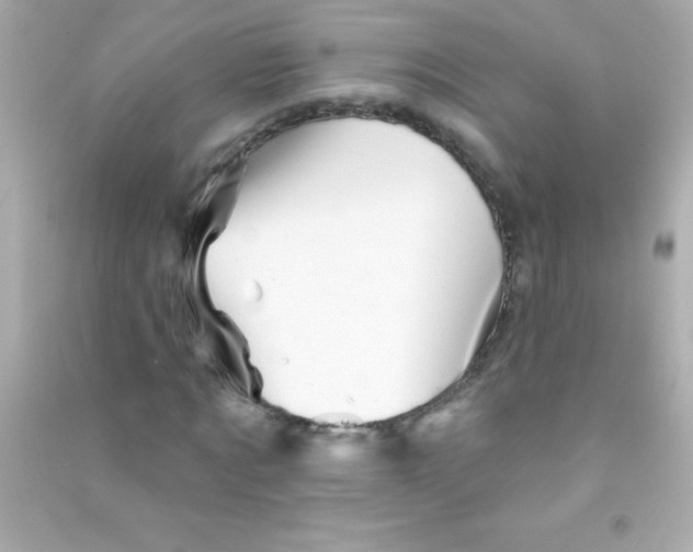 X0000090480869200708102154