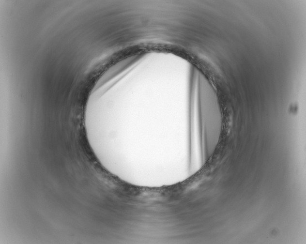 X0000090480870200708102154