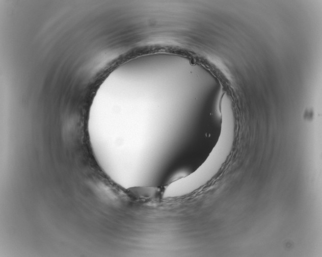X0000090480872200708102154