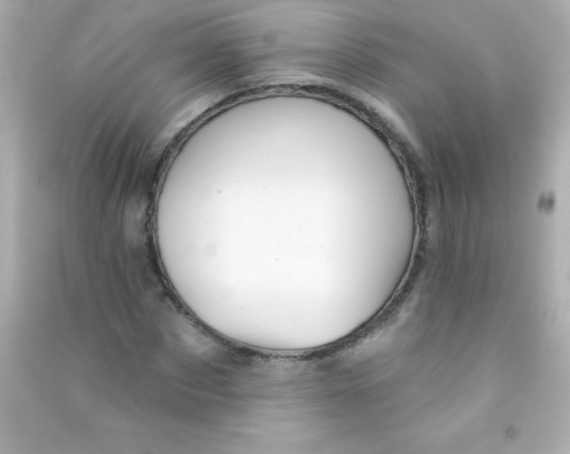 X0000090480873200708102154