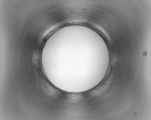 X0000090480874200708102154