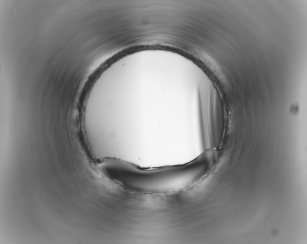 X0000090480876200708102154
