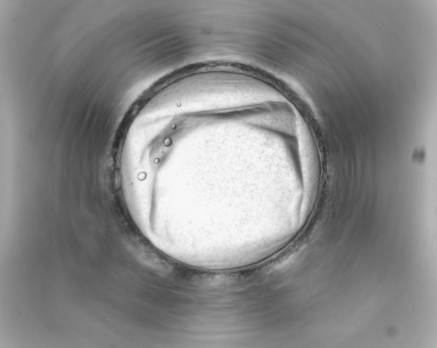 X0000090480879200708102154