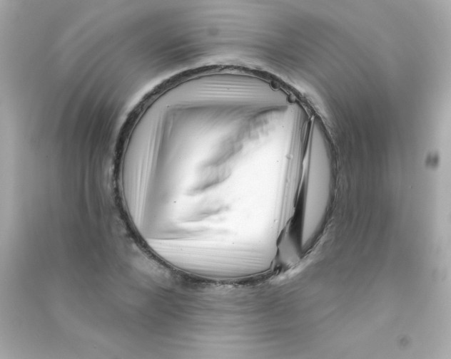 X0000090480880200708102154