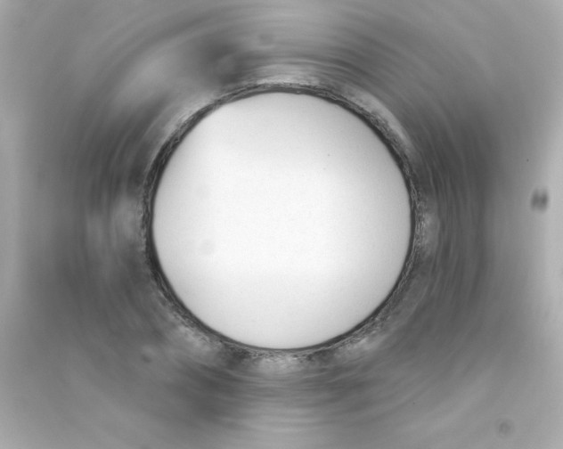 X0000090480882200708102154