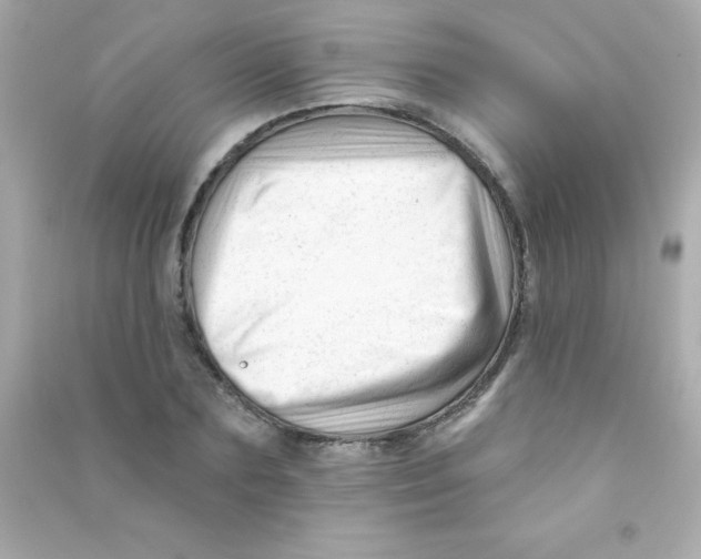 X0000090480883200708102154