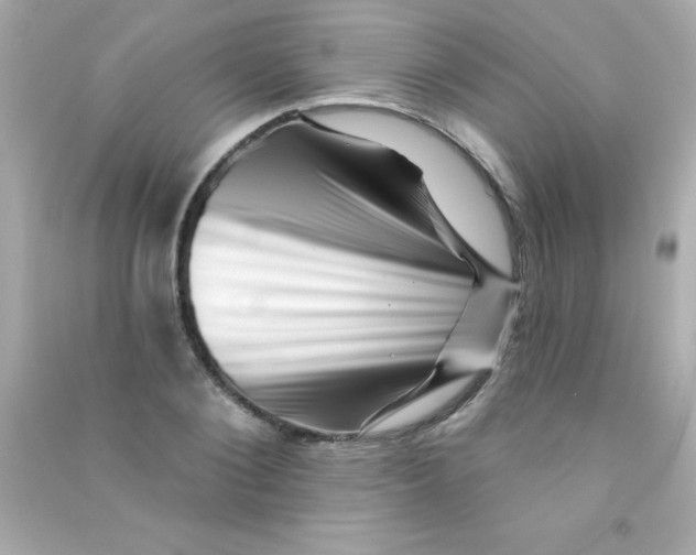 X0000090480884200708102154