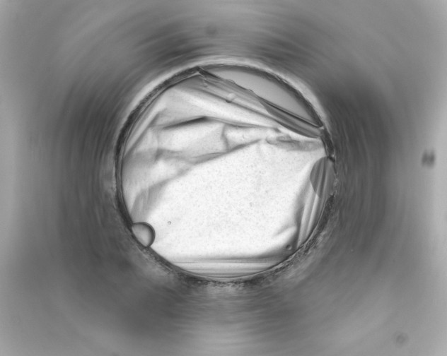 X0000090480887200708102154