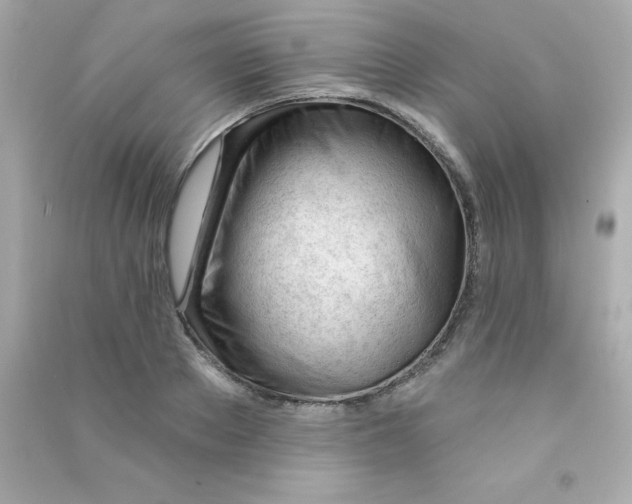 X0000090480889200708102154