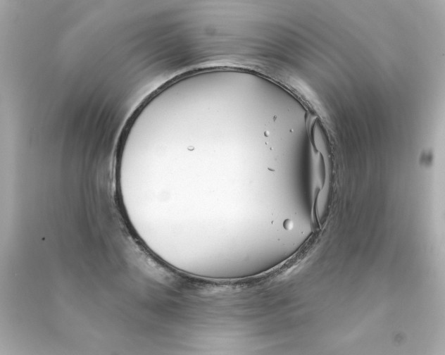 X0000090480892200708102154