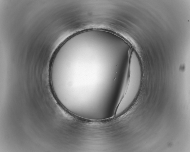 X0000090480894200708102154