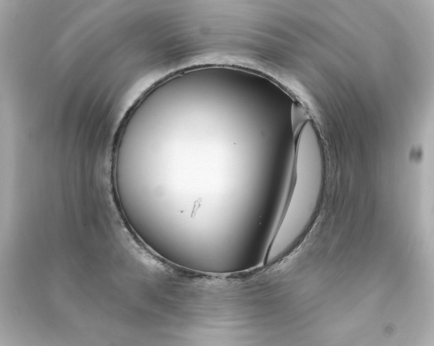 X0000090480896200708102154