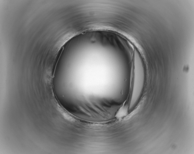 X0000090480897200708102154