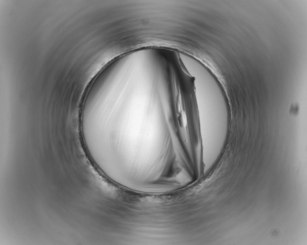 X0000090480898200708102154