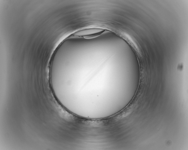X0000090480900200708102154