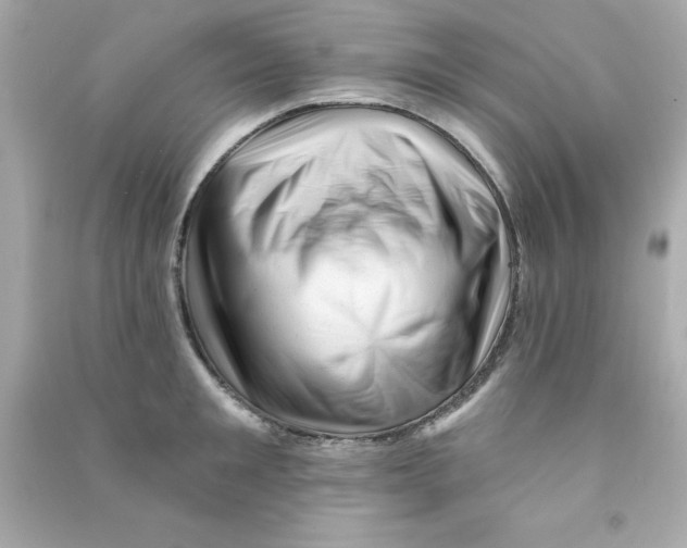 X0000090480901200708102154