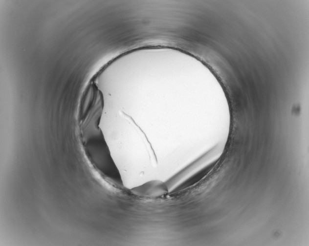 X0000090480902200708102154