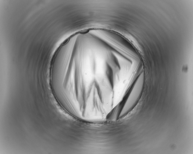 X0000090480904200708102154