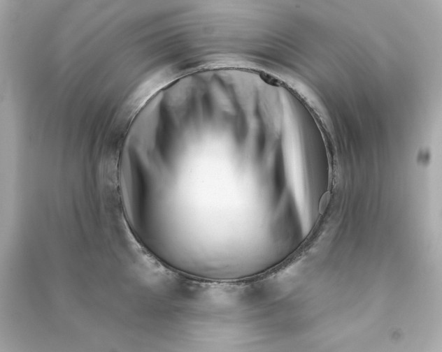X0000090480905200708102154