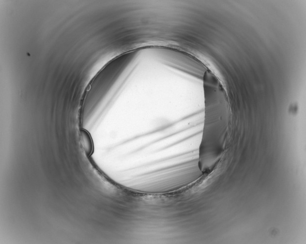 X0000090480906200708102154