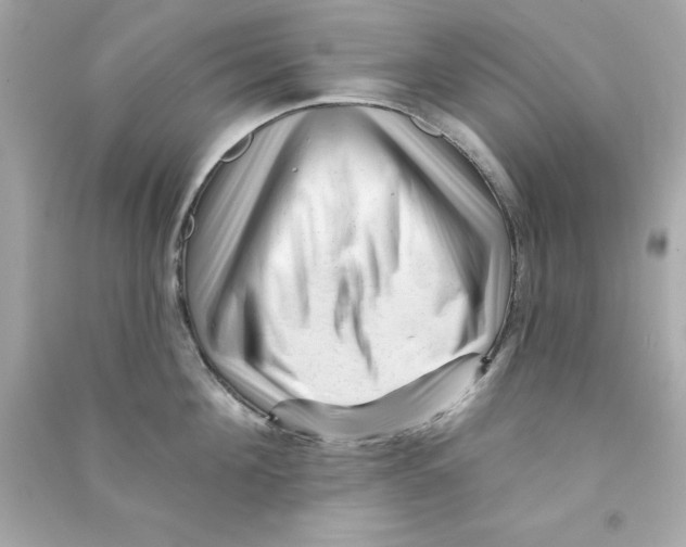 X0000090480908200708102154