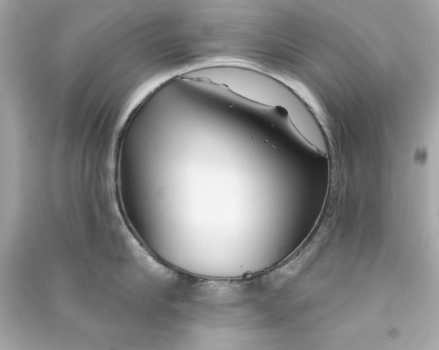 X0000090480910200708102154