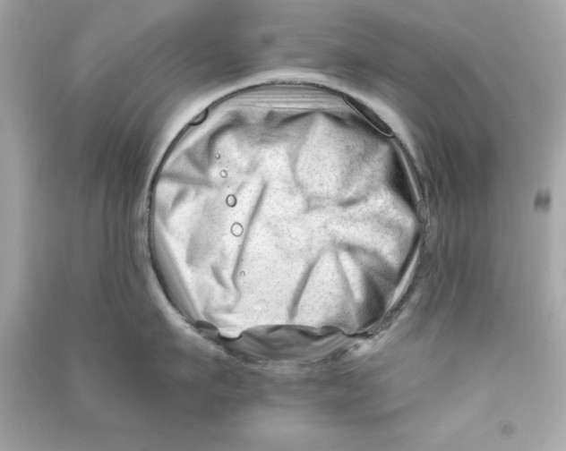 X0000090480911200708102154