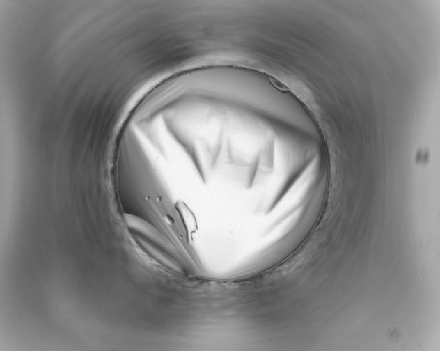 X0000090480912200708102154