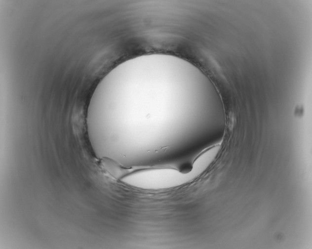 X0000090480915200708102153