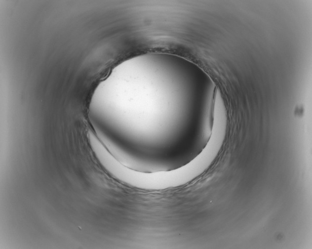 X0000090480916200708102153