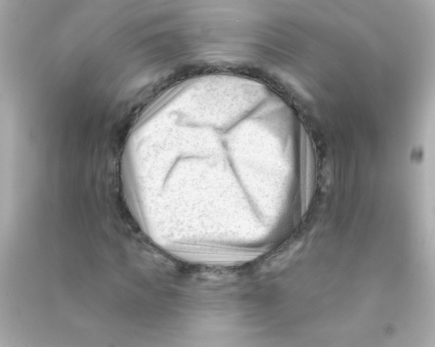 X0000090480917200708102153