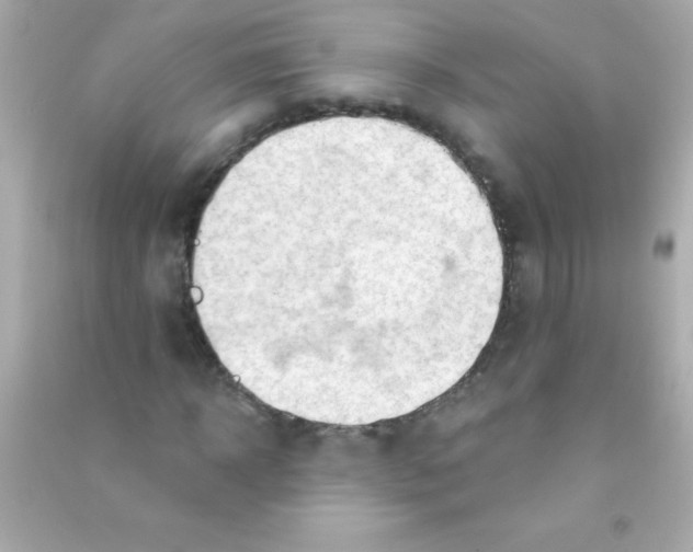 X0000090480918200708102153