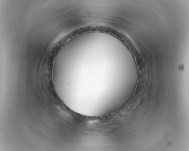 X0000090480919200708102153