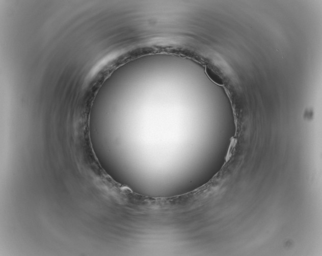 X0000090480920200708102153