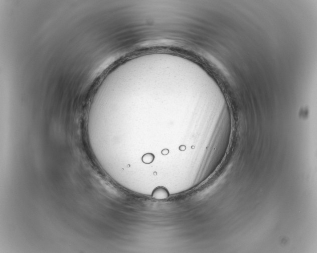 X0000090480921200708102153
