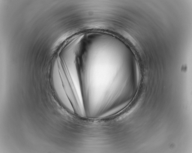 X0000090480922200708102153