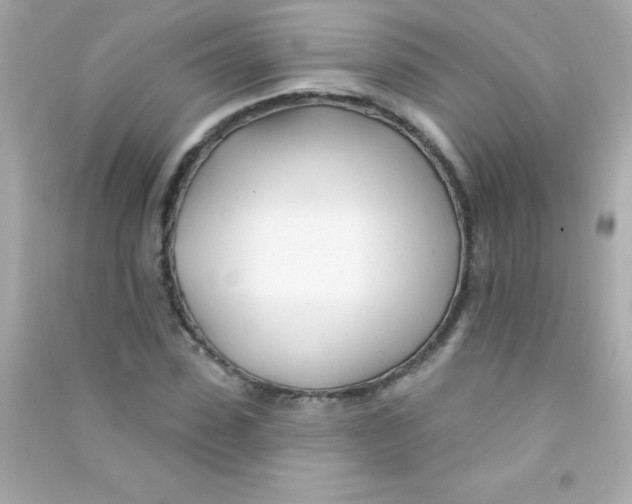 X0000090480923200708102153