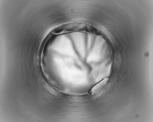 X0000090480924200708102153