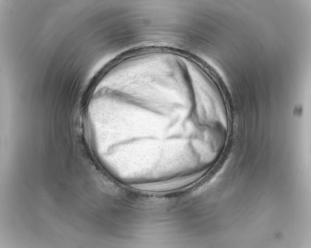 X0000090480925200708102153