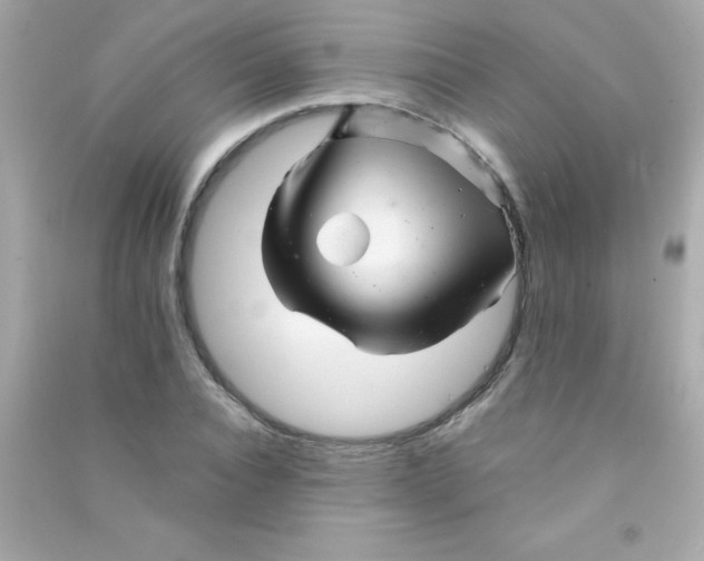 X0000090480928200708102153