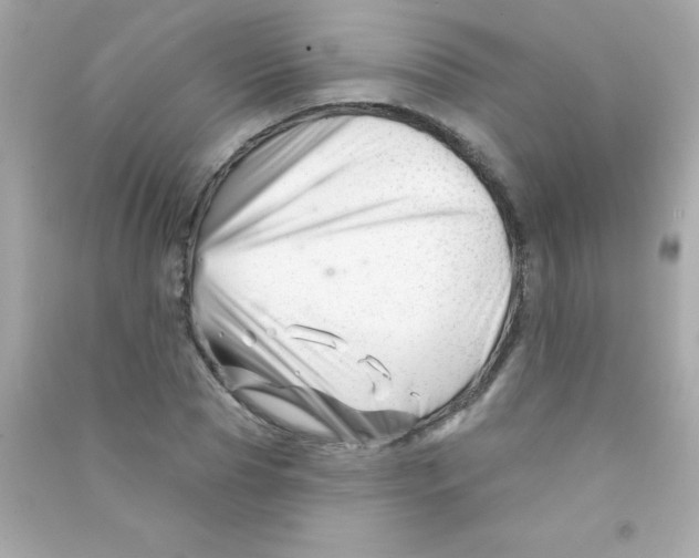X0000090480929200708102153