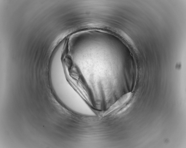 X0000090480930200708102153