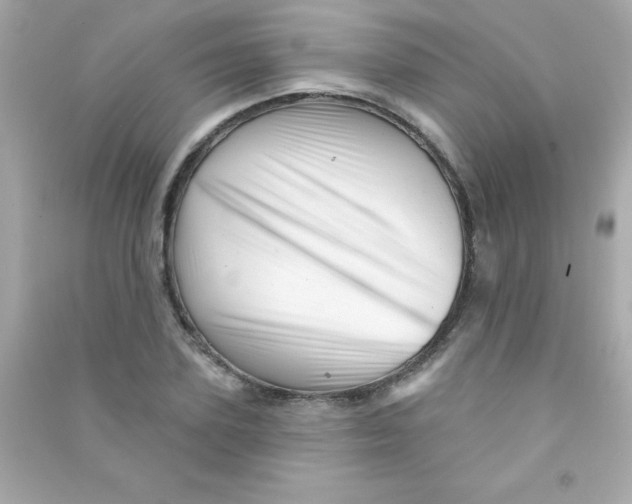 X0000090480931200708102153