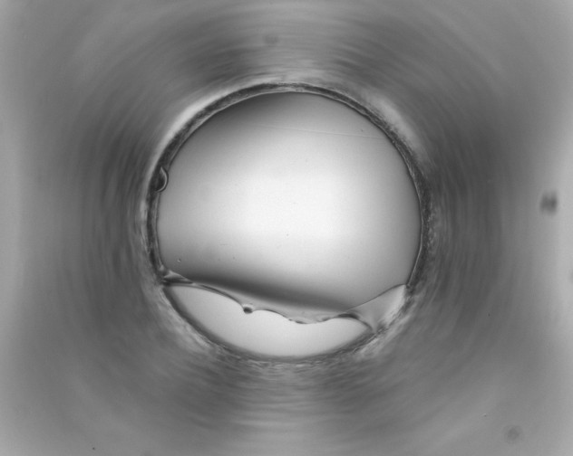 X0000090480932200708102153